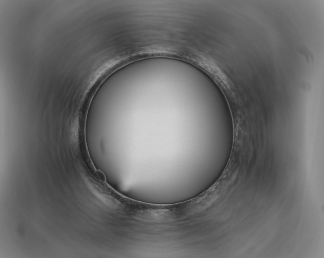 X0000113140108200909181738