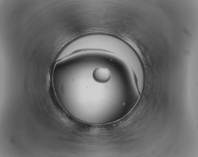 X0000113140109200909181738