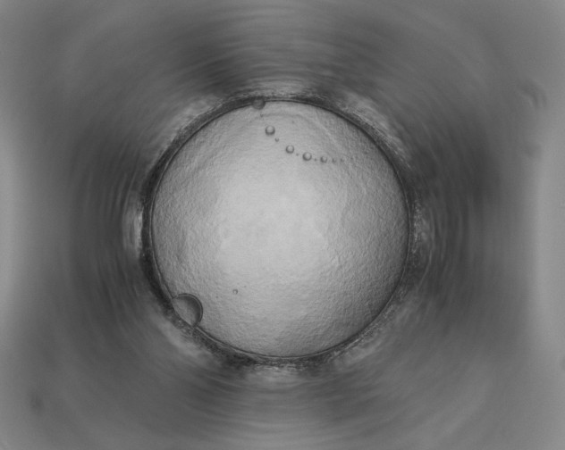 X0000113140110200909181738