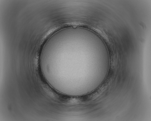 X0000113140111200909181738