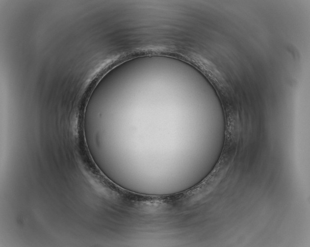 X0000113140112200909181738