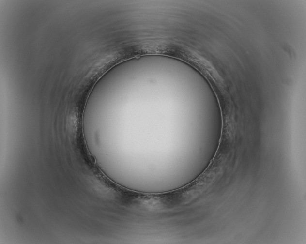 X0000113140113200909181738