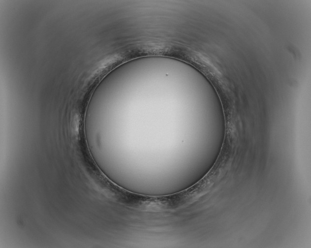 X0000113140115200909181738