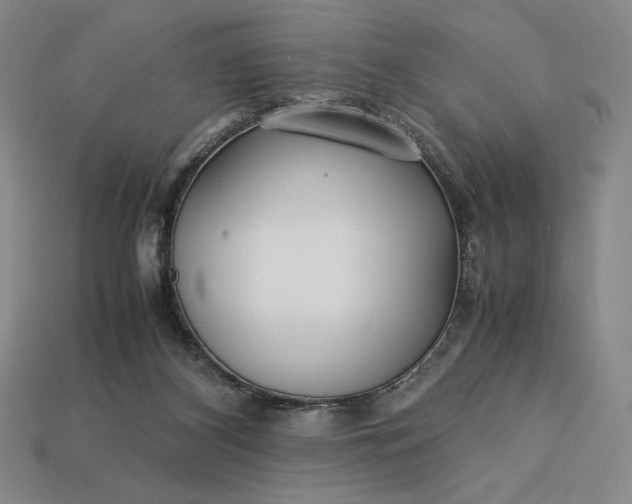 X0000113140116200909181738