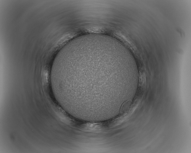 X0000113140117200909181738