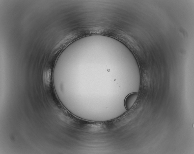 X0000113140118200909181738