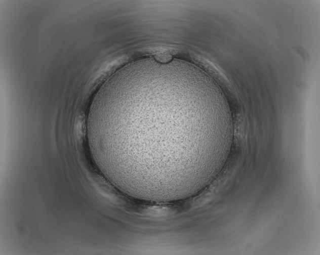 X0000113140119200909181738