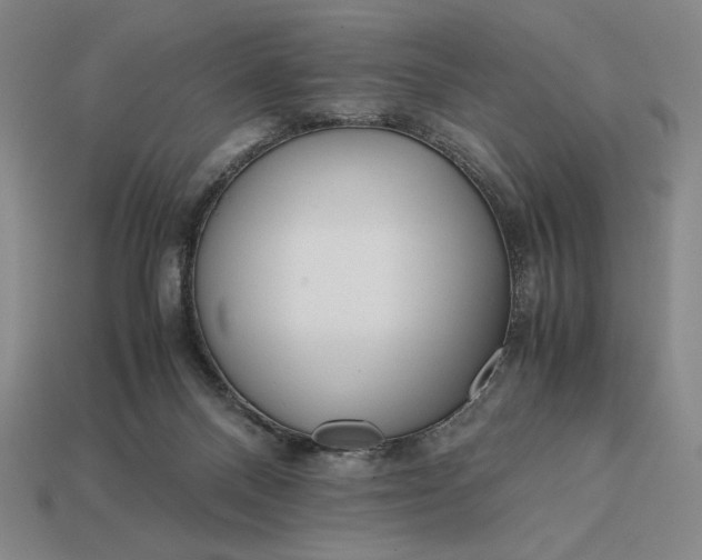 X0000113140120200909181738