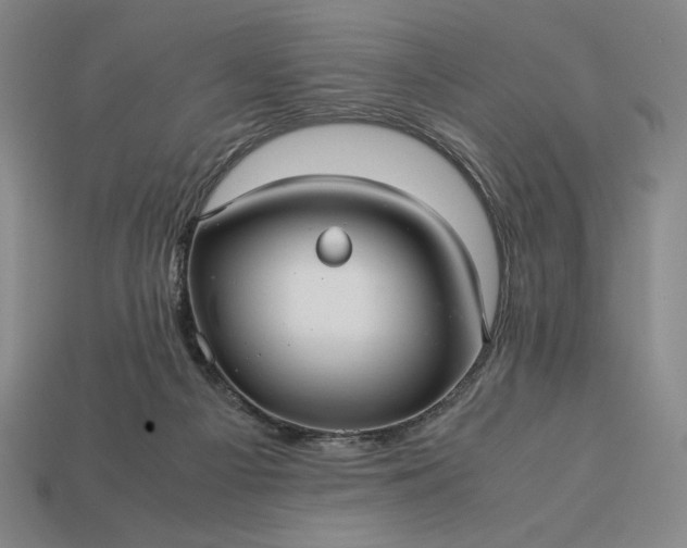 X0000113140121200909181738