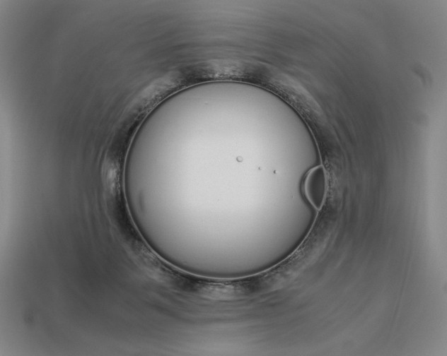 X0000113140123200909181738