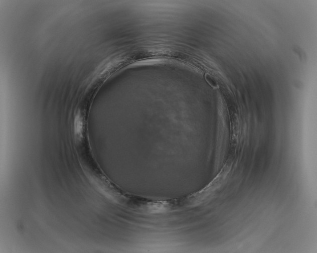 X0000113140124200909181738