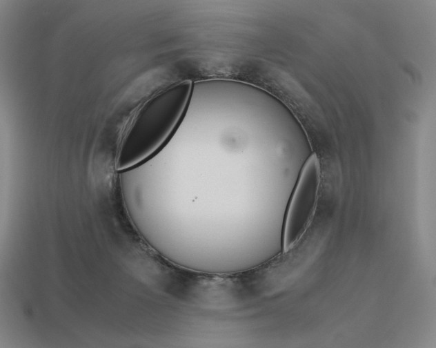 X0000113140125200909181738