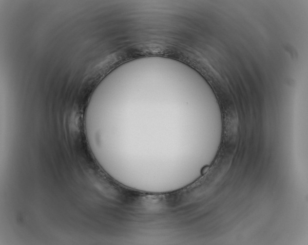 X0000113140126200909181738