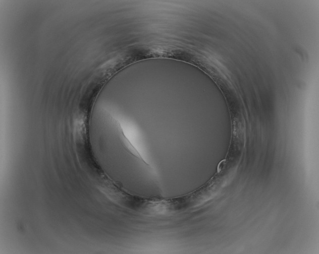 X0000113140127200909181738