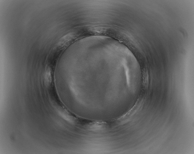 X0000113140128200909181738