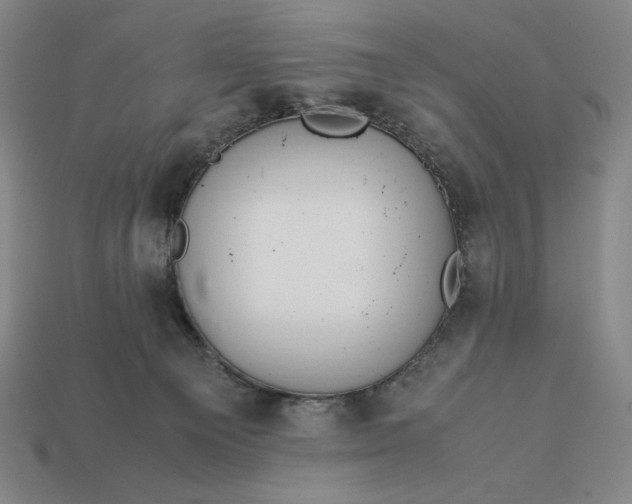 X0000113140129200909181738