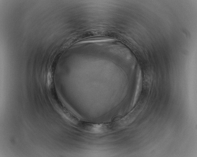 X0000113140130200909181738