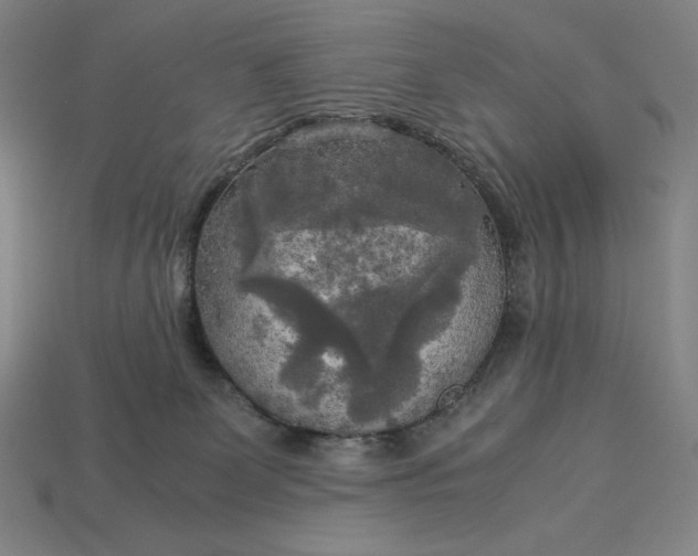 X0000113140131200909181738