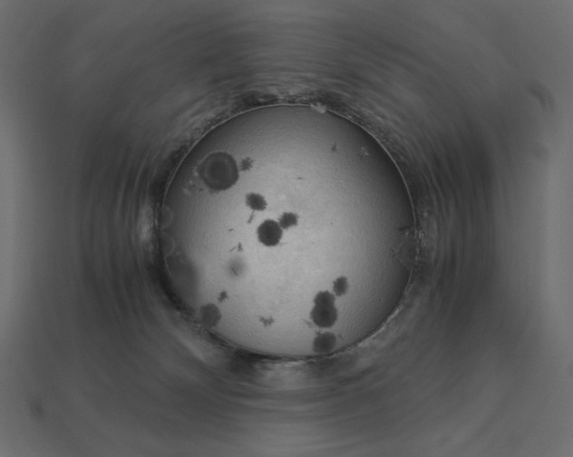 X0000113140132200909181738