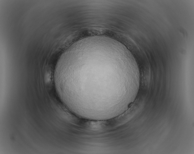 X0000113140134200909181738