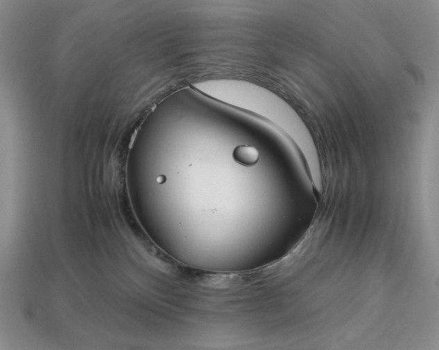 X0000113140136200909181738