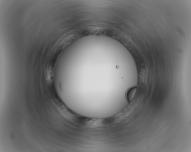 X0000113140138200909181738