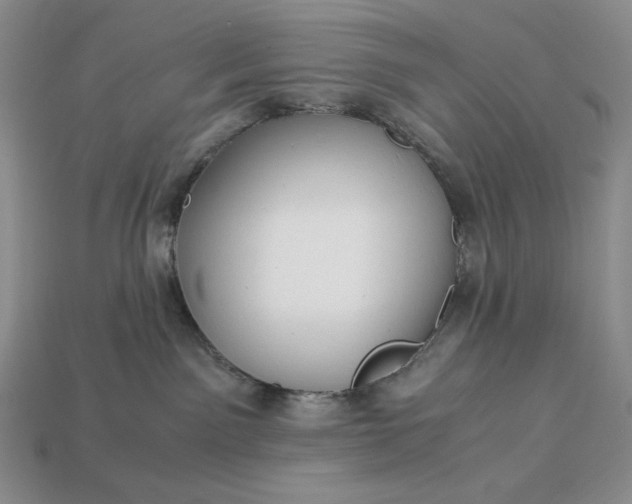 X0000113140141200909181737