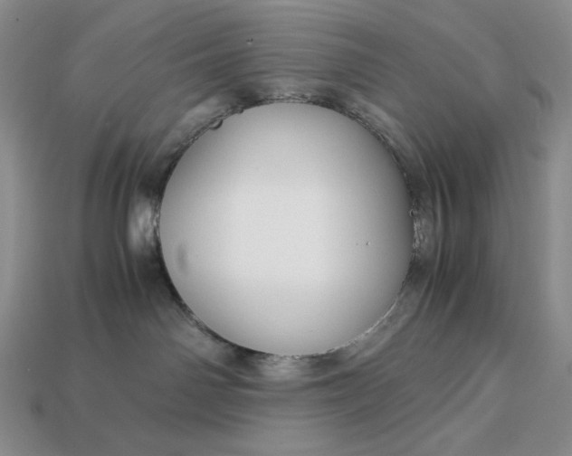 X0000113140142200909181737