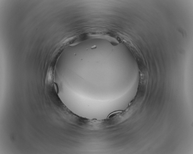 X0000113140143200909181737