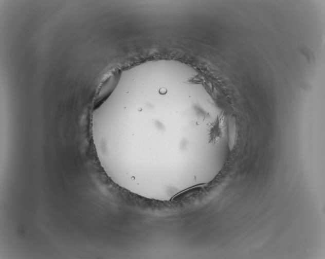 X0000113140144200909181737