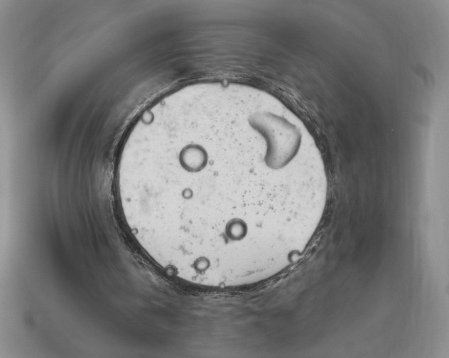 X0000113140146200909181737