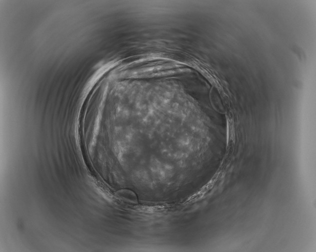 X0000113140147200909181737