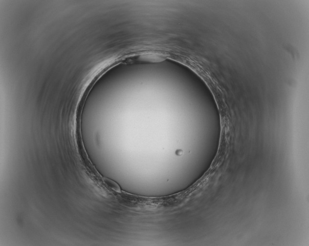 X0000113140148200909181737