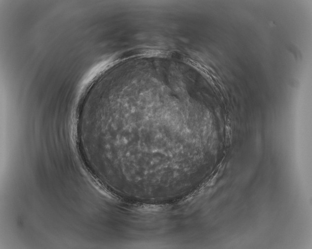 X0000113140149200909181737