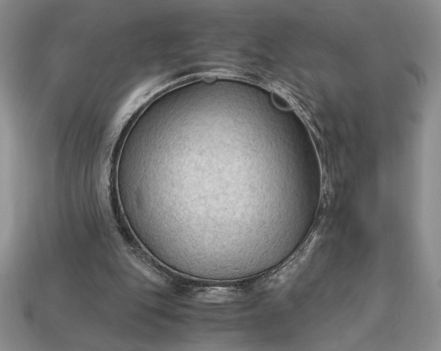 X0000113140151200909181737