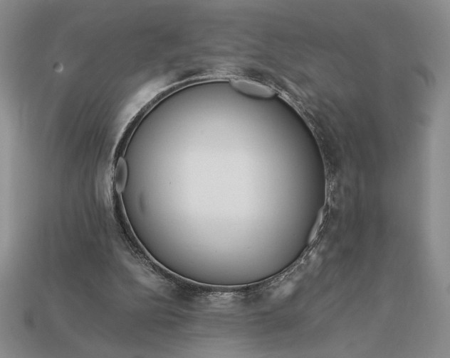 X0000113140152200909181737