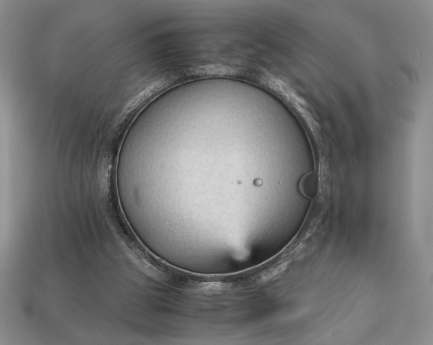 X0000113140153200909181737