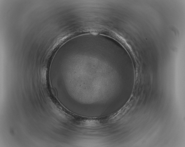 X0000113140154200909181737