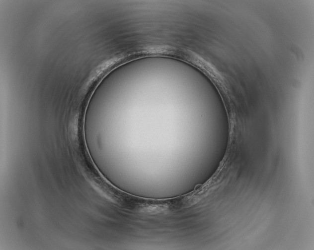 X0000113140155200909181737