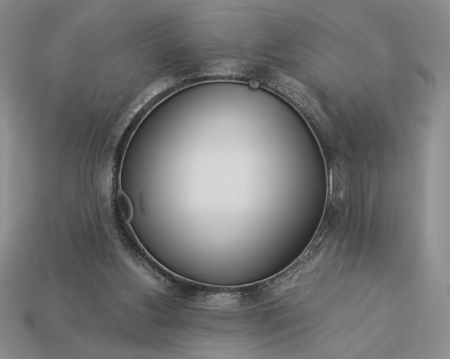 X0000113140156200909181737