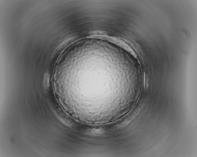 X0000113140157200909181737