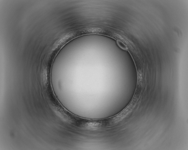 X0000113140158200909181737