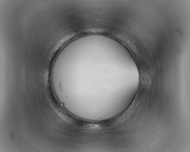 X0000113140159200909181737