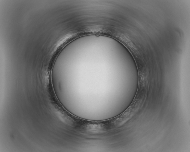 X0000113140160200909181737