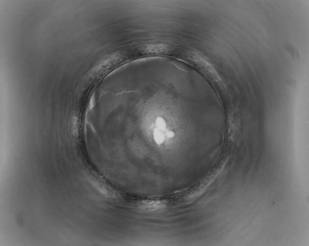 X0000113140161200909181737