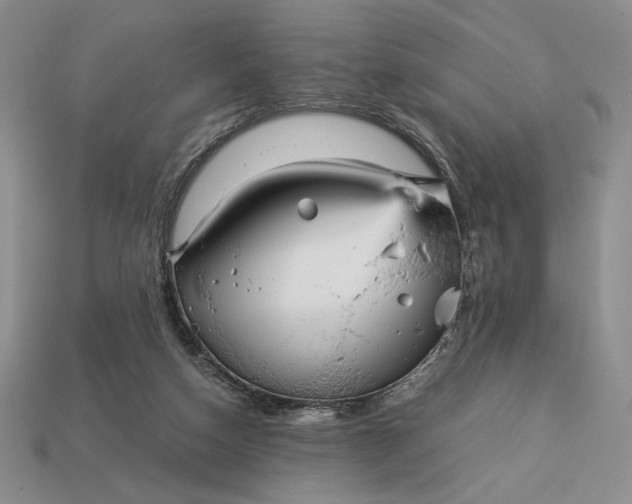 X0000113140162200909181737