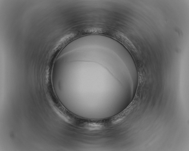 X0000113140163200909181737