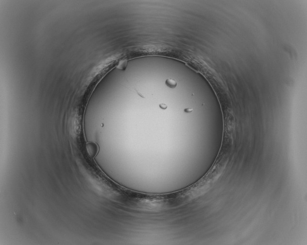 X0000113140164200909181737