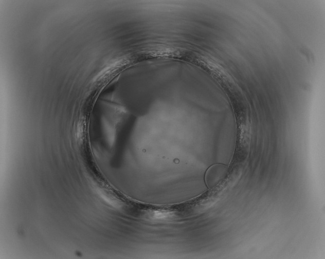 X0000113140165200909181737