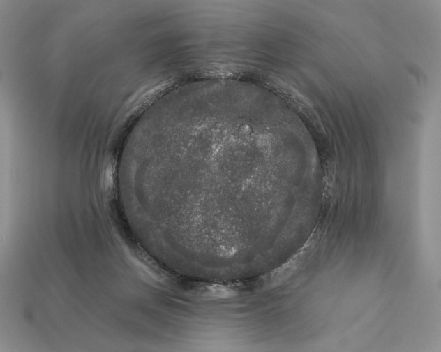 X0000113140166200909181737